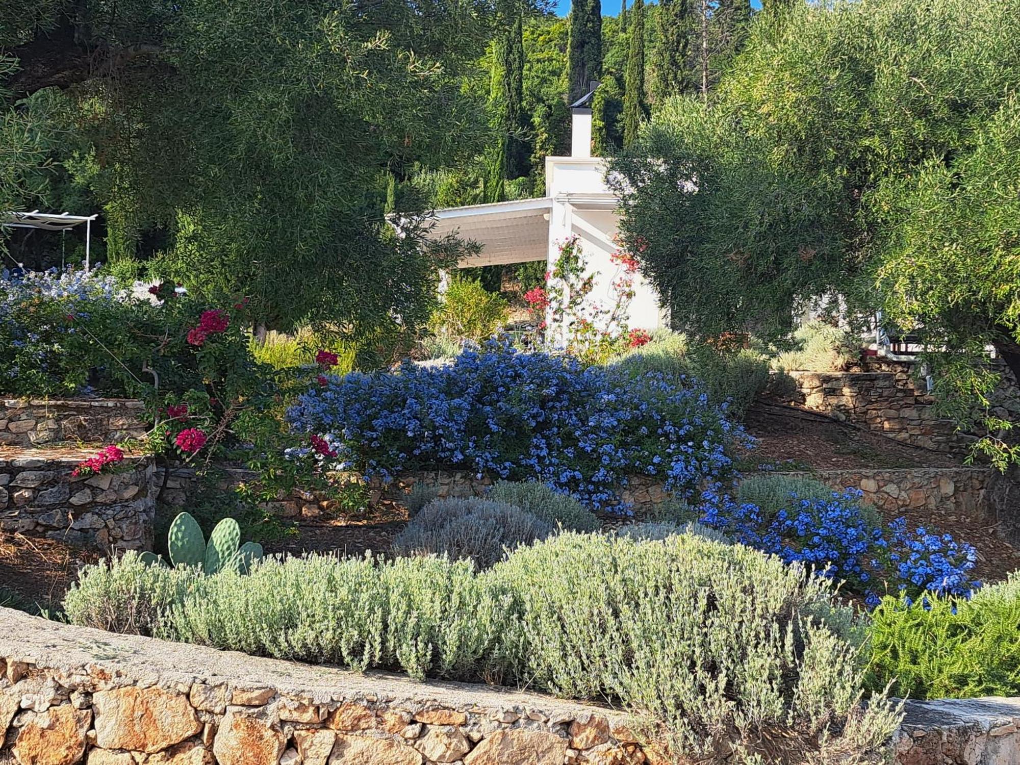 Casa Buras Villa Skinaria Bagian luar foto